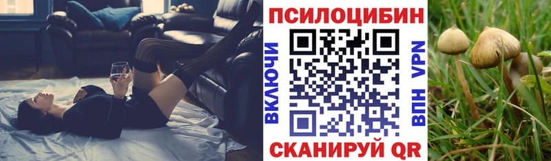 Купить  Добрянка  Галлюциногенные грибы мицелий 